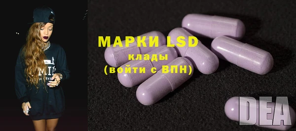 apvp Верея