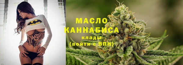 дживик Бронницы